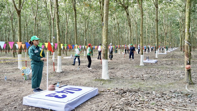 Diễn biến Hội thi Bàn tay vàng Thu hoạch mủ cao su lần thứ XIII - năm 2022